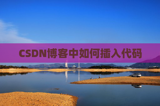 CSDN博客中如何插入代码